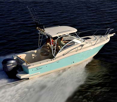 Scout_242_Abaco